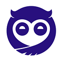 Sleepy Owl